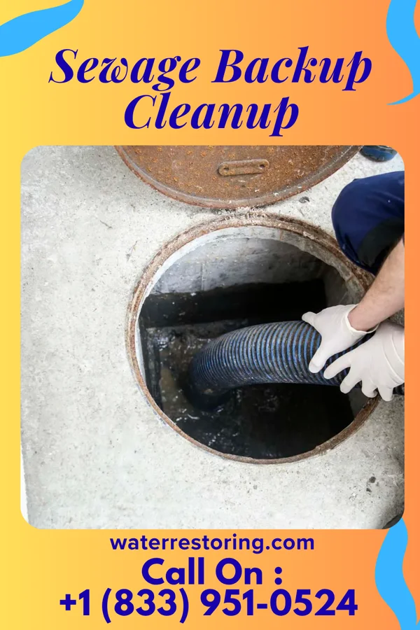 Sewage Backup Cleanup in Bassett, KS